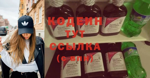сатива Осинники