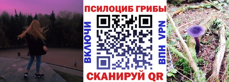 МЕГА ссылка Нефтекумск Галлюциногенные грибы Psilocybine cubensis