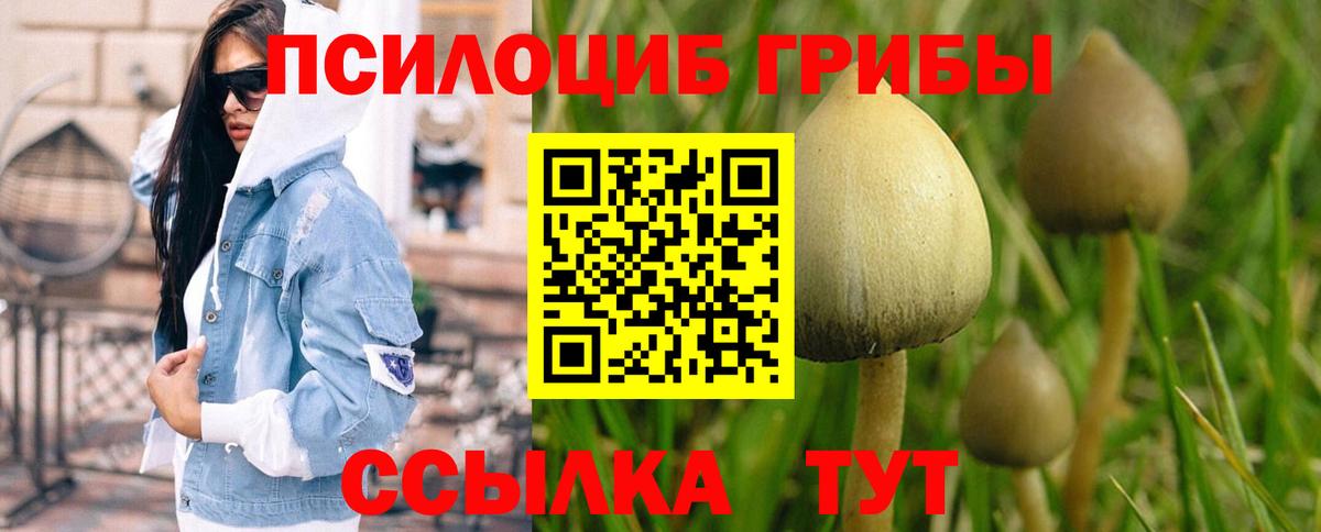 Галлюциногенные грибы ЛСД  Вход с VPN  закладка  Нефтекумск  Галлюциногенные грибы ЛСД 