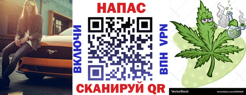 Бошки марихуана семена  где купить наркотик  Нефтекумск 