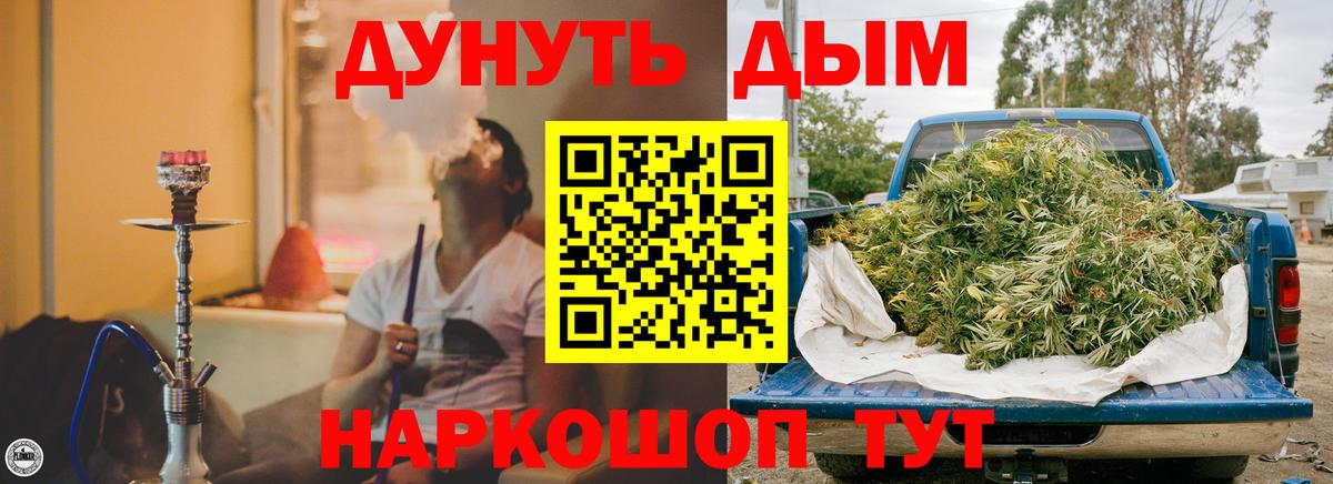 Каннабис конопля Нефтекумск